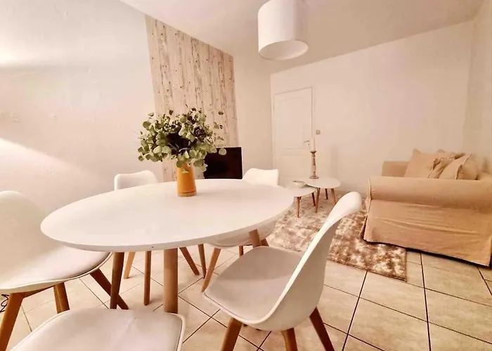 Joli Duplex Cocooning De 100M2 Avec Rez De Jardin